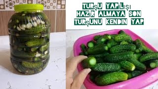 Soğuk suyla kornişon salatalık turşusu 5 litrelik bidona tam ölçü pickle [upl. by Emersen201]