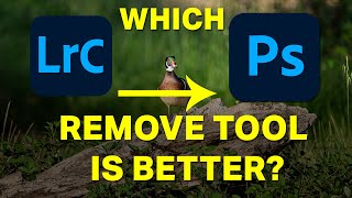 REMOVE TOOL  Lightroom Classic vs Photoshop  What should you use [upl. by Peer]