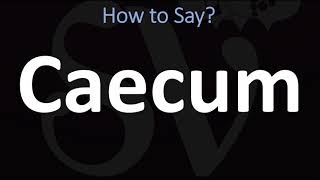 How to Pronounce Caecum CORRECTLY [upl. by Anitsyrhc]