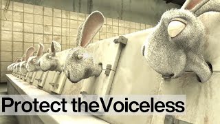 Bright Eyes End Cosmetics Testing on Animals [upl. by Rebecca374]