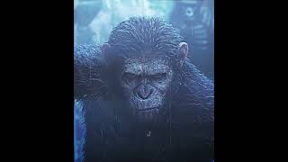 CAESAR VS KOBA EDIT  THE WEAKER  DAWN OF THE PLANET OF THE APES dawnoftheplanetoftheapes [upl. by Ayam]