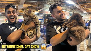 International Cat Show in Delhi😱🐱 [upl. by Aneroc]