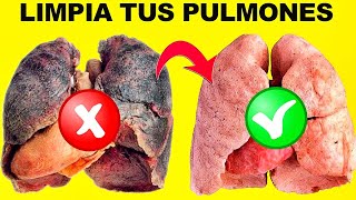 3 plantas que puedes preparar para limpiar y purificar tus pulmones Remedios caseros Lunacreciente [upl. by Packton291]