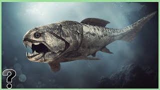 What If The Dunkleosteus Didnt Go Extinct [upl. by Klaus]