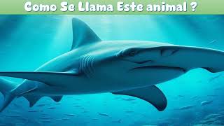 Adivina el animal de la imagen quotTquot [upl. by Nosille]