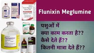 Flunixin Meglumine inj veterinary  Dose amp Route [upl. by Aliahkim]