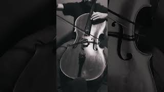 Kol Nidrei  Solo Cello  3141  Cello en partes shorts [upl. by Yzmar]