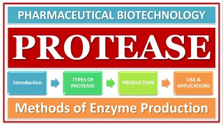 PROTEASE ENZYME  PART1  TYPES  CLASSIFICATION  ROLE OF ENZYME  FUNCTION [upl. by Aremat]