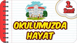 Bitki ve Hayvanların Hayatımızdaki Önemi  3 Sınıf Hayat Bilgisi evokul Kampı [upl. by Chapman]