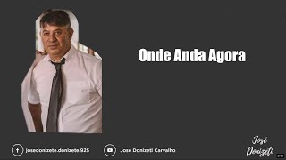 Onde anda Agora Donizetiwmv [upl. by Betsey245]