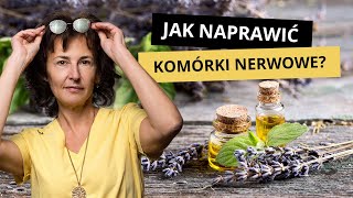 Jak Naprawić Komórki Nerwowe [upl. by Annoyk]