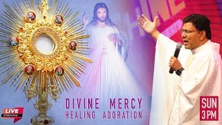 Divine Mercy Adoration Live Today  Fr Augustine Vallooran VC  28 January  Divine Goodness TV [upl. by Willem]