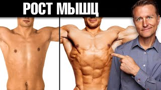 4 неожиданных способа быстро нарастить мышцы 💪 [upl. by Balliett]