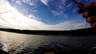 Trout Fishing On Cefni Reservoir Anglesey [upl. by Conni]