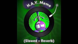 HAY Meme Slowed  Reverd Tayton 4000 [upl. by Pirzada]