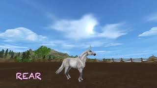 SSO Connemara Gaits  Pixiedawn Productionz [upl. by Burner]