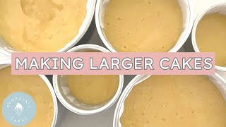 How To Multiply Your Cake Recipe for Larger Tins  Georgia’s Cakes [upl. by Odnala]