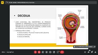 Obstetricia Placenta y membranas fetales 0407Dr Villar [upl. by Namad]