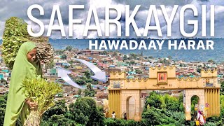 MAXAAN KUSO ARKAY DIRE DAWA HAWADAY ILA HARAR [upl. by Assereht]