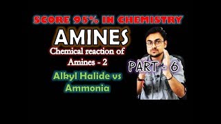 Amines  Class 12  Chemical Reaction  Why Alkyl Amines are more basic than Ammonia  Part 6 [upl. by Torbart]