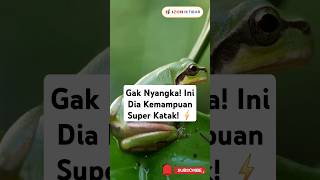 Gak Nyangka Ini Dia Kemampuan Super Katak ⚡katak hewanunik superpower faktahewan shorts facts [upl. by Leiba]