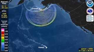 Tsunami Animation Unimak Island Aleutian Islands 1946 rotating globe [upl. by Somar]