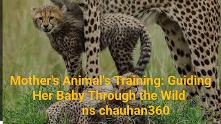 Adorable Tiny Chita Cubs Take Their First Steps chitacubs animals [upl. by Nalla]