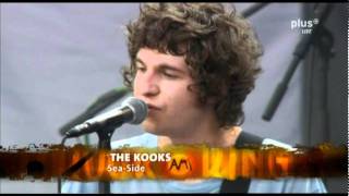 The Kooks Seaside Live Rock am Ring 2011 [upl. by Enna]