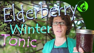 How to Make Antiviral ElderberryTonic [upl. by Rustice343]