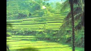 The Balinese traditional Bambu amp flute Music [upl. by Ymmot]