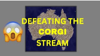 IND clan reigns supreme over corgi clan 💪  territorialio [upl. by Silohcin841]