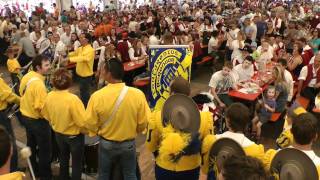 50jähriges Jubiläum Fanfarenzug Löwen Baienfurt [upl. by Soren476]