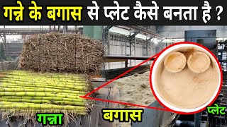 जानिए गन्ने के बगास से प्लेट कैसे बनता है  How Plates Made From Sugarcane [upl. by Junieta465]