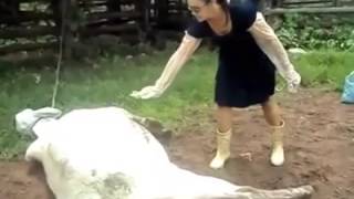 ★Lustige Videos Zum Totlachen Deutsch 2015 Funny Videos Witzige Videos Fail lol 23★ [upl. by Naldo536]