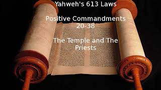 Yahweh 613 Laws  Complete Positive Laws and Prohibitive Laws [upl. by Acirne]