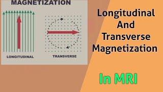 longitudinal and transverse magnetization in mri  longitudinal and transverse magnetization in mri [upl. by Eerdua]