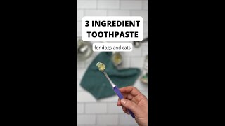 DIY Pet Toothpaste made with Perio Support for healthy teeth [upl. by Nylanej]