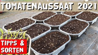 Tomaten aussäen  Jungpflanzenanzucht im März  die besten Tomatensorten mit viel Geschmack [upl. by Enaira999]