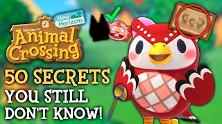 50 SECRETS You STILL Dont Know  Animal Crossing New Horizons [upl. by Eidob427]