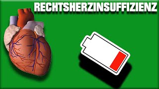 Rechtsherzinsuffizienz  Krankheitslehre Deutsch [upl. by Neel753]