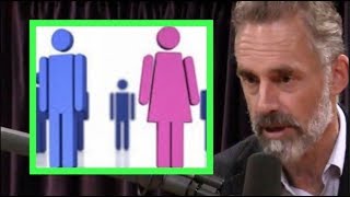 Jordan Peterson Explains the Gender Paradox  Joe Rogan [upl. by Lita]