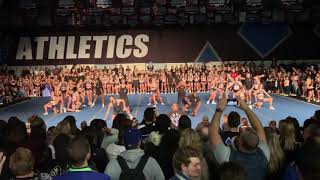 Cheer Athletics Swooshcats  NCA Showoff 2019 [upl. by Ymeon]