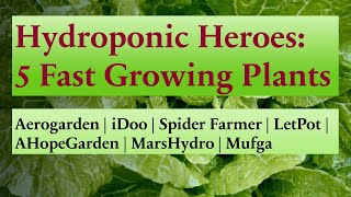 Top 5 Fast Growing Plants to Grow in Aerogarden  Hydroponics  Tips  Germination  Nutrients [upl. by Derej]