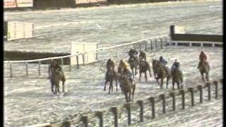 1987 Tote Cheltenham Gold Cup Chase [upl. by Einahpets]