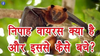 Nipah Virus Explained in Hindi  By Ishan [upl. by Paget308]