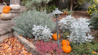 Autumn Garden Vibrance A Colorful Fall Tour Before the Freeze [upl. by Liborio950]