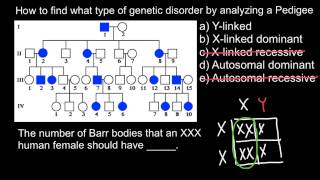 How to find type of Genetic Disorder by Analyzing a Pedigree [upl. by Wicks462]