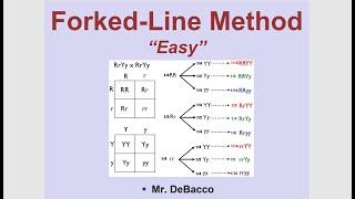 Forked Line Method Easy [upl. by Bender]