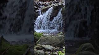 Element Wasser  Wasserfälle im Bayerischen Wald  Klärung amp Schönheit [upl. by Maher462]