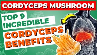 Cordyceps Mushroom Top 9 Incredible Cordyceps Benefits [upl. by Blisse464]